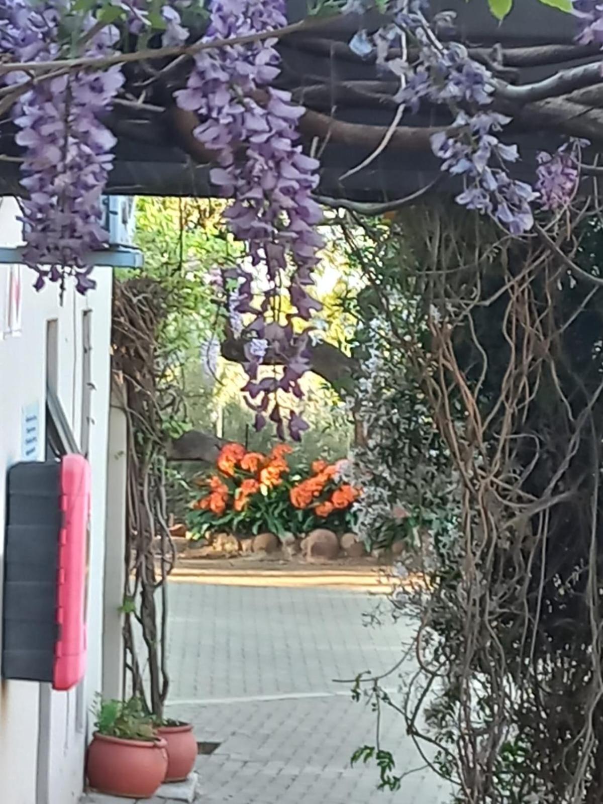 A Little Guesthouse Bloemfontein Kültér fotó